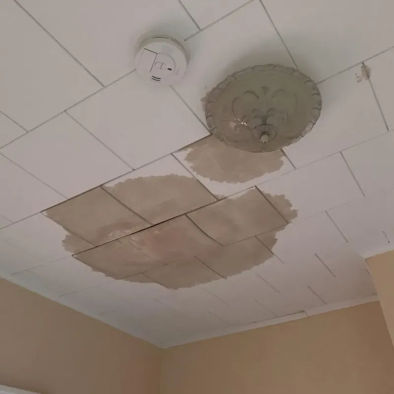 Ceiling Water Damage Repair in Chamberlain, SD
