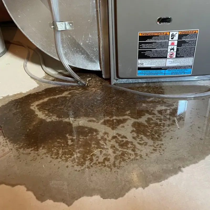 Pipe Burst and Leak Restoration in Chamberlain, SD