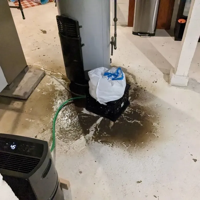 Sewage Backup Cleanup Service in Chamberlain, SD